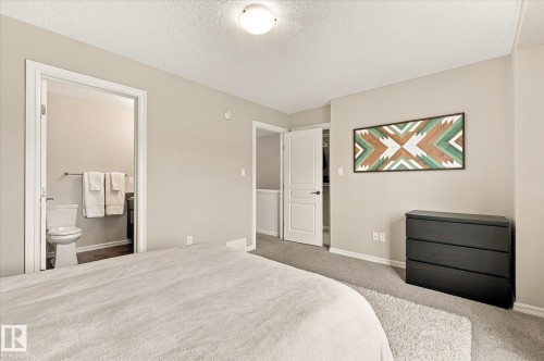 Carpeted flooring throughout, neutral wall paint, and a white ceiling with a flush-mount light fixture - 21935 91 Avenue Nw, Edmonton, AB 