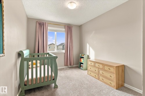 Wall-to-wall carpeting and a ceiling-mounted light fixture - 21935 91 Avenue Nw, Edmonton, AB 