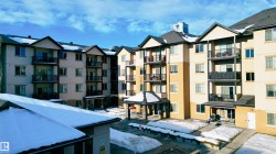 #316 10530 56 AV NW Edmonton, AB T6H 0X7