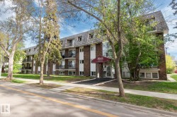 #308 10735 81 AV NW  Edmonton, AB T6E 1Y2