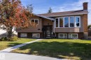 Split-level residence featuring a brick and siding exterior, multiple windows, and an established front lawn - 17311 107 Street Nw, Edmonton, AB 