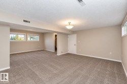 Spacious room featuring neutral paint, carpet flooring, multiple windows, and a flush mount light fixture - 