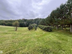 Expansive grassy landscape with a variety of mature trees and established shrubbery - 