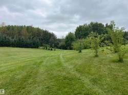 Expansive grassy area with a natural tree line and scattered young deciduous trees - 