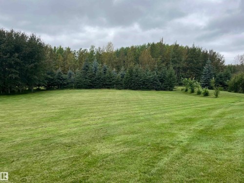 Expansive lawn with striped pattern, bordered by mature evergreen trees and additional deciduous trees - #15 2319 Twp Road 524, Rural Parkland County, AB 