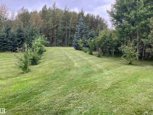 Expansive lawn area with natural tree perimeter - #15 2319 Twp Road 524, Rural Parkland County, AB 