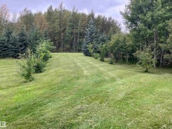 Expansive lawn area with natural tree perimeter - 