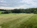 Expansive grassy areas with varied tree lines and scattered young trees - #15 2319 Twp Road 524, Rural Parkland County, AB 