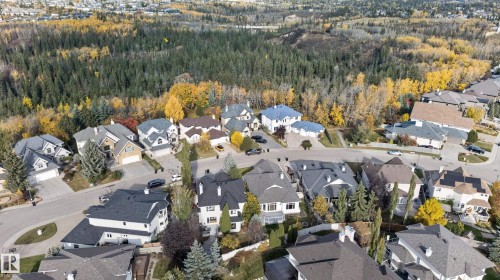 Aerial perspective of a residential neighborhood featuring paved streets, multi-level homes with asphalt shingle roofing, integrated driveways, and expansive mature evergreen and deciduous tree stands - 876 Twin Brooks Close Nw, Edmonton, AB 