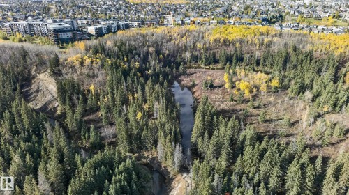 Aerial perspective of natural terrain featuring mature evergreen and deciduous trees, a winding water feature, and varied elevation - 876 Twin Brooks Close Nw, Edmonton, AB 