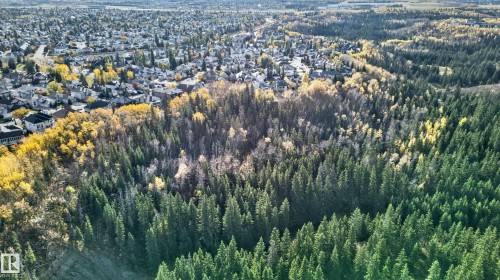 Aerial perspective featuring dense coniferous forest, mature deciduous trees, and expansive woodland canopy - 876 Twin Brooks Close Nw, Edmonton, AB 