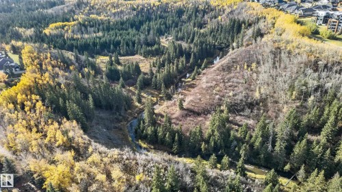 Aerial topography featuring extensive native evergreen and deciduous forest cover, winding waterway, and varied terrain elevation - 876 Twin Brooks Close Nw, Edmonton, AB 