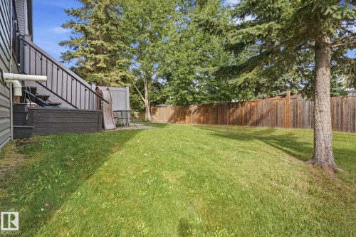 Expansive grassy yard with mature trees and a wood privacy fence - 5340 38A Avenue Nw, Edmonton, AB 