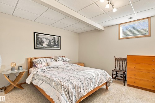Neutral wall paint, textured ceiling tiles, and track lighting - 51064 Rge Rd 222, Rural Strathcona County, AB 