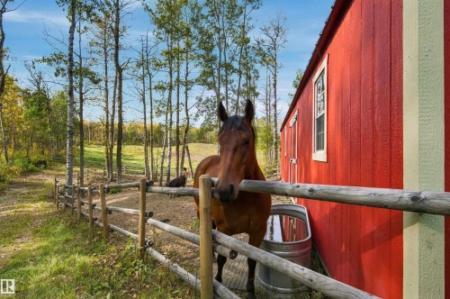 Red barn with white trim, wood fence, and treed surroundings - 51064 Rge Rd 222, Rural Strathcona County, AB 