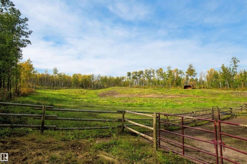 Expansive grassy field bordered by mature deciduous trees - 51064 Rge Rd 222, Rural Strathcona County, AB 