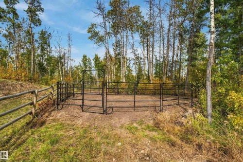 Black metal panel fencing with an arched gate, surrounded by mature trees and natural landscaping - 51064 Rge Rd 222, Rural Strathcona County, AB 