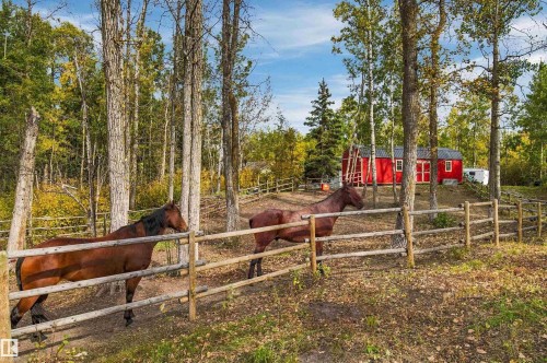 Red barn with white trim, surrounded by mature trees - 51064 Rge Rd 222, Rural Strathcona County, AB 