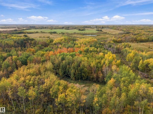 Expansive treed landscape featuring varied foliage and open fields - 51064 Rge Rd 222, Rural Strathcona County, AB 