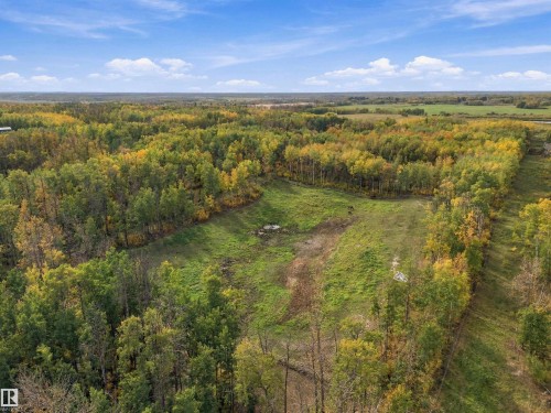 Expansive green space bordered by mature trees - 51064 Rge Rd 222, Rural Strathcona County, AB 