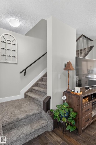 Staircase featuring wall-mounted dark handrails, carpeted treads, and metal spindle balusters - 798 Berg Loop, Leduc, AB 