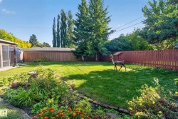 Expansive lawn area, mature trees, privacy fencing, established garden beds, and a screened outdoor structure - 