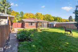 Expansive backyard featuring a green lawn, mature trees, and a screened-in porch - 