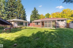 Expansive green lawn with mature perimeter trees, a screened-in porch, and two storage sheds - 