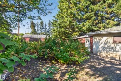 Mature trees providing natural shade - 