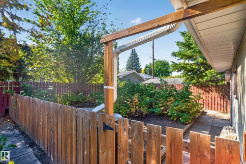 Wood privacy fencing with gate, mature trees, and garden bed - 14 Sonora Drive, St. Albert, AB 