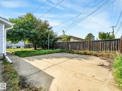 Concrete patio area with a wood fence perimeter and mature tree - 