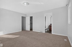 Light gray painted walls with brown carpet flooring - 