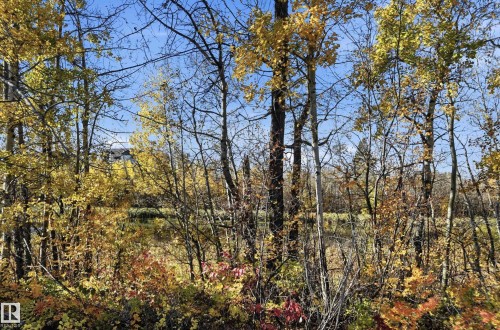 Wooded grounds featuring mature deciduous trees and native vegetation - #19 10 Grange Dr, St. Albert, AB 