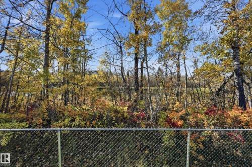 Metal chain-link perimeter fencing bordered by mature deciduous trees and native shrubbery - #19 10 Grange Dr, St. Albert, AB 