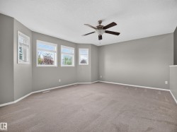 Spacious room with multiple windows, neutral carpeting, and a ceiling fan - 