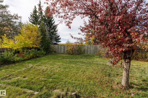 188 Richfield Road Nw, Edmonton, AB 