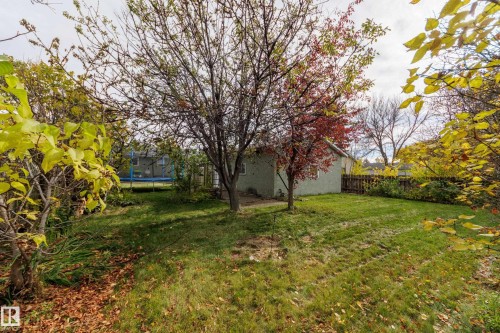 188 Richfield Road Nw, Edmonton, AB 