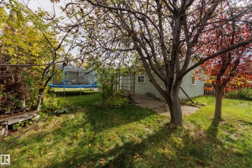 188 Richfield Road Nw, Edmonton, AB 