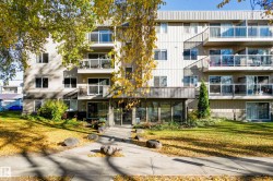 #406 11019 107 ST NW  Edmonton, AB T5H 2Z6