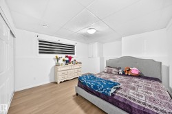 White walls with a two-tone finish, wood-finish flooring, and a drop ceiling - 