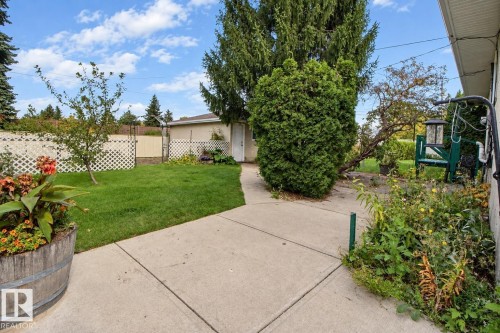Expansive backyard featuring a concrete pathway, manicured lawn, and mature trees - 4420 117A Street Nw, Edmonton, AB 