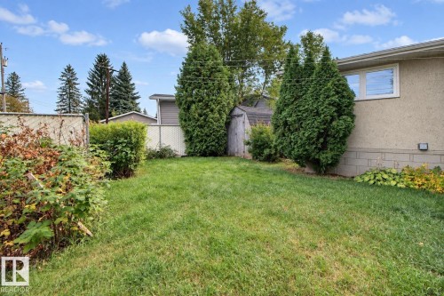 Expansive grass area, mature perimeter shrubs, and established privacy trees - 4420 117A Street Nw, Edmonton, AB 