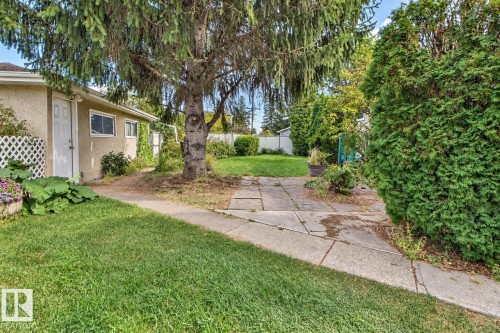 Expansive rear yard featuring a large mature tree, established green lawn, concrete patio, and privacy hedging - 4420 117A Street Nw, Edmonton, AB 