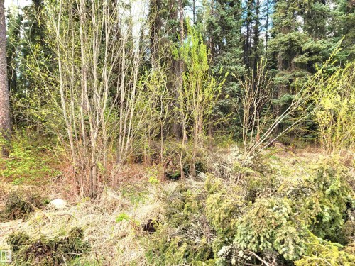 624072 Rge Road 241, Rural Athabasca County, AB 