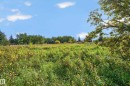 53068 Rge Road 222, Rural Strathcona County, AB 