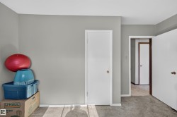 Light gray painted walls with white trim and a neutral carpeted floor - 
