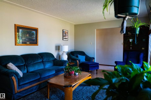 Textured ceiling detail - 11119 137 Avenue Nw, Edmonton, AB 