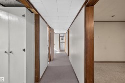 Hallway featuring wood-finish trim, white walls, and carpet flooring - 