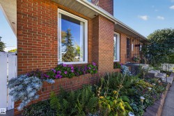 Brick exterior with white window trim - 