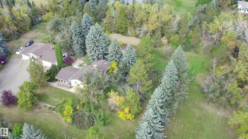 Expansive property with mature evergreen trees and diverse foliage - #74 22555 Twp Road 530, Rural Strathcona County, AB 